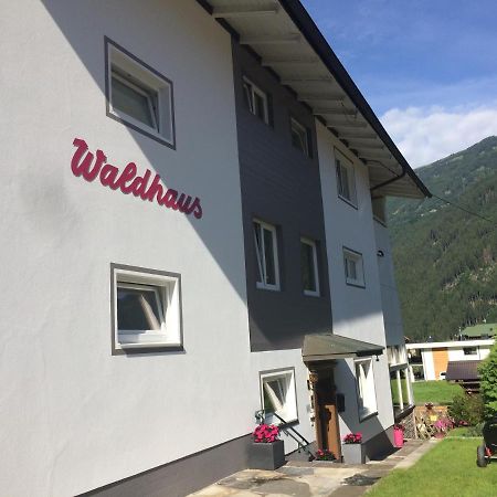 Апартаменты Waldhaus Lechner Steinerkogel Майрхофен Экстерьер фото